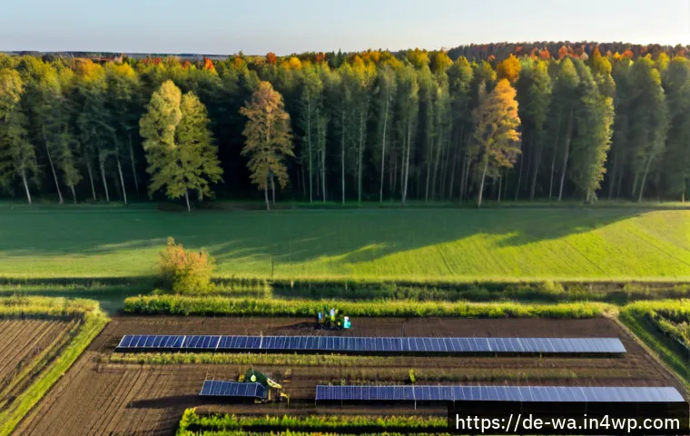 탄소 격리 식재 프로젝트의 결과 분석 및 보고서 작성 - Photorealistic aerial view of a successful carbon sequestration tree-planting project in rural Germa...
